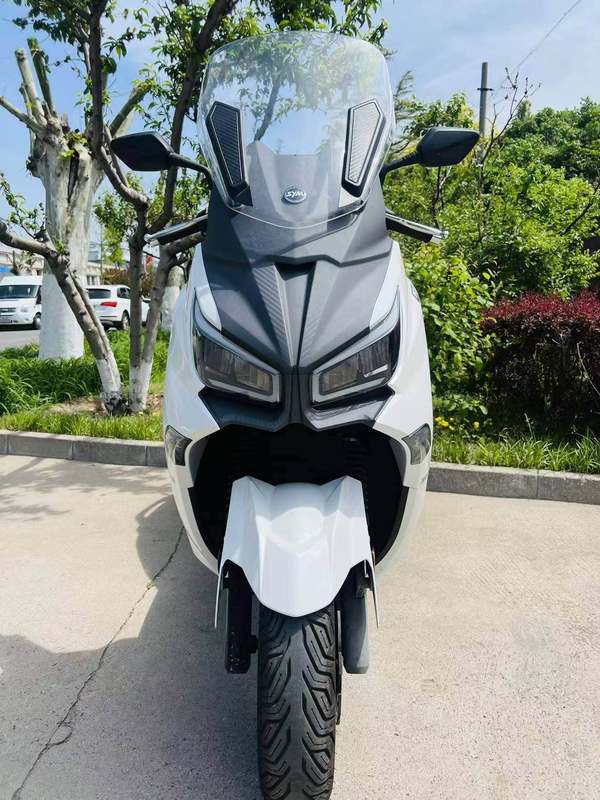 二手三阳Joymax Z 300