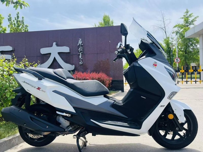 二手三阳Joymax Z 300