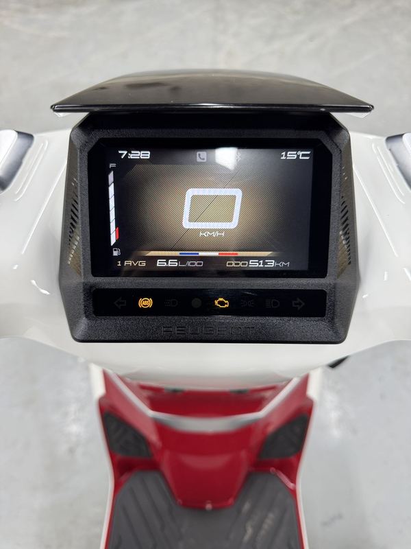 二手标致DJANGO EVO