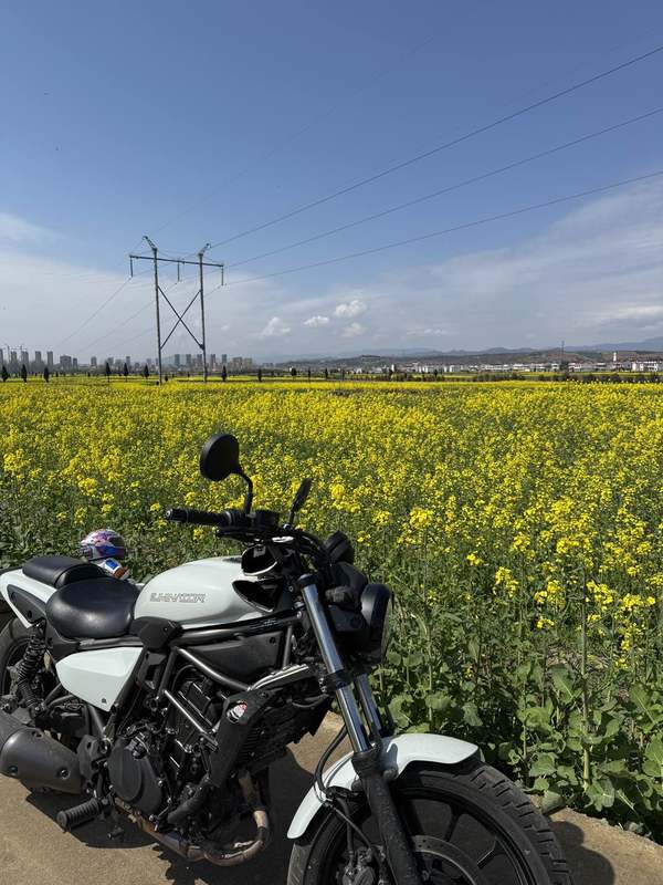 二手川崎Eliminator 500