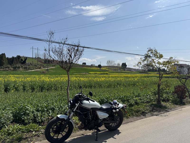 二手川崎Eliminator 500