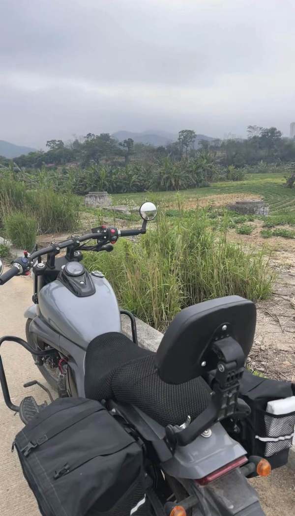 二手力帆K19