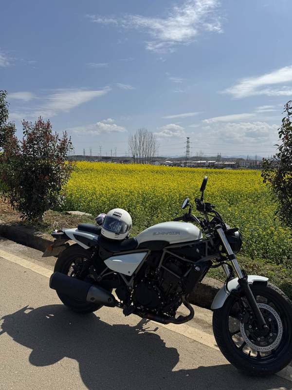 二手川崎Eliminator 500