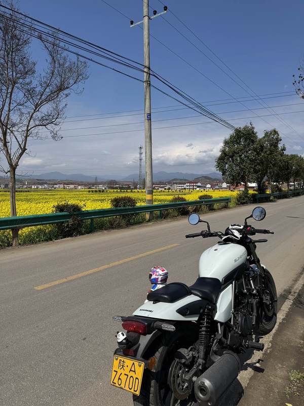 二手川崎Eliminator 500