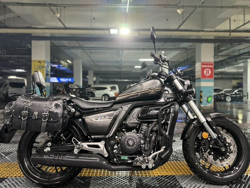 二手赛科龙RA401