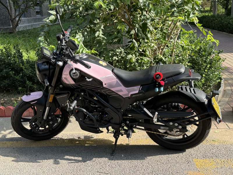 二手贝纳利幼狮 Leoncino 150