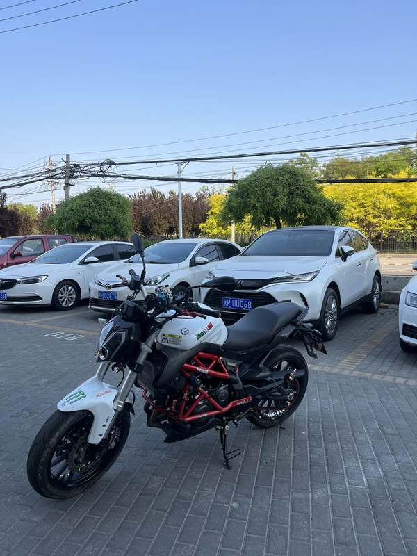 二手贝纳利蓝宝龙 BN302S