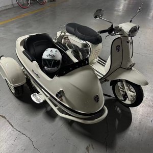 二手ROYAL ALLOYGP250 Sidecar