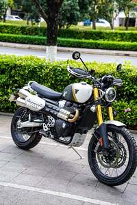 二手凯旋Scrambler 1200