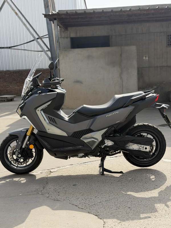 二手三阳剑齿虎 ADXTG