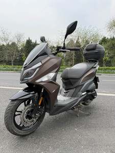 二手三阳巡弋 Cruisym150