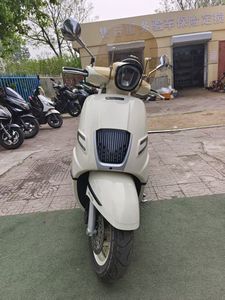 二手南方梦拉丽莎 飞戈