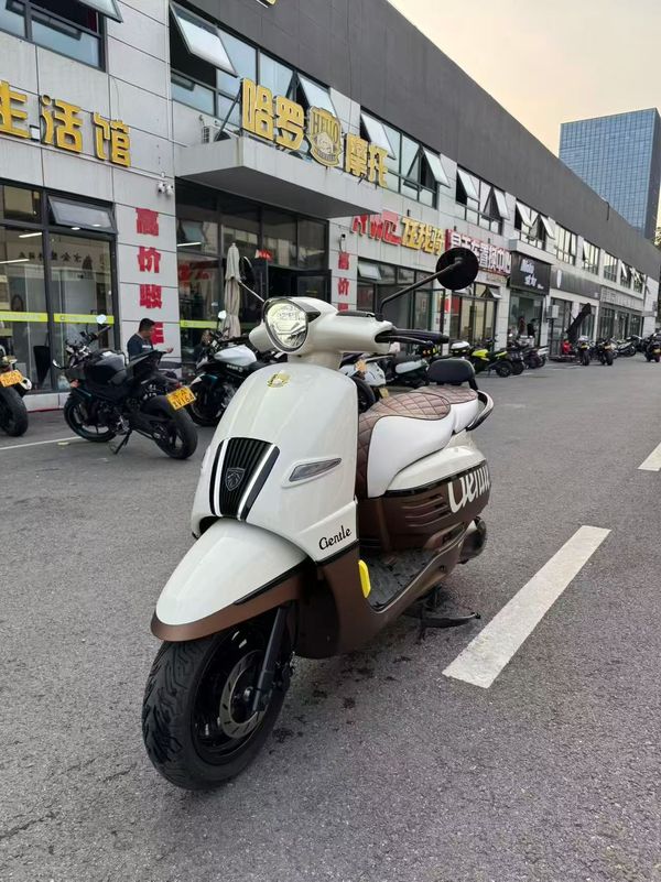 二手标致DJANGO EVO