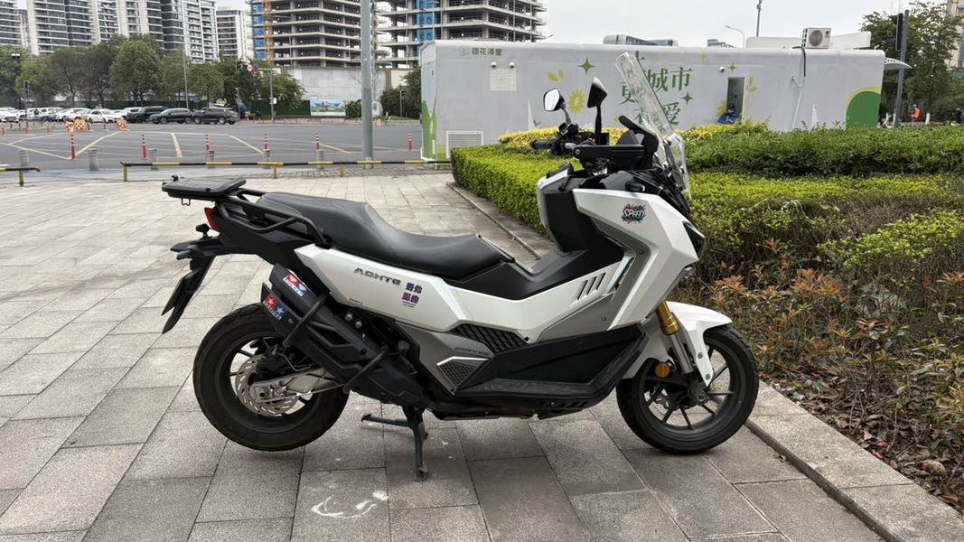 二手三阳剑齿虎 ADXTG