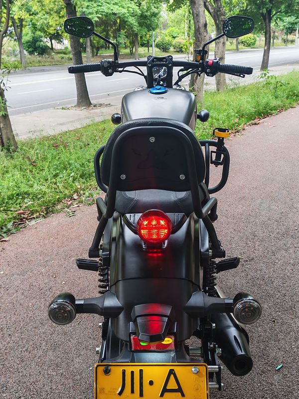 二手赛科龙RA250