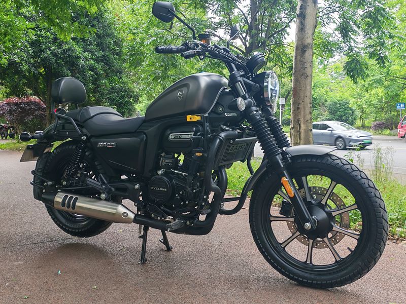 二手赛科龙RA250