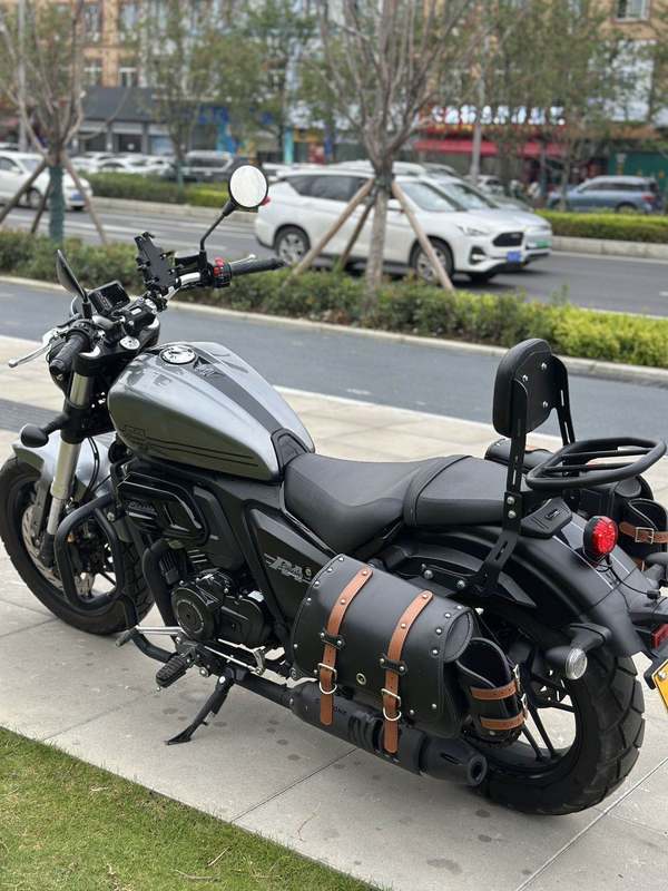 二手赛科龙RA401