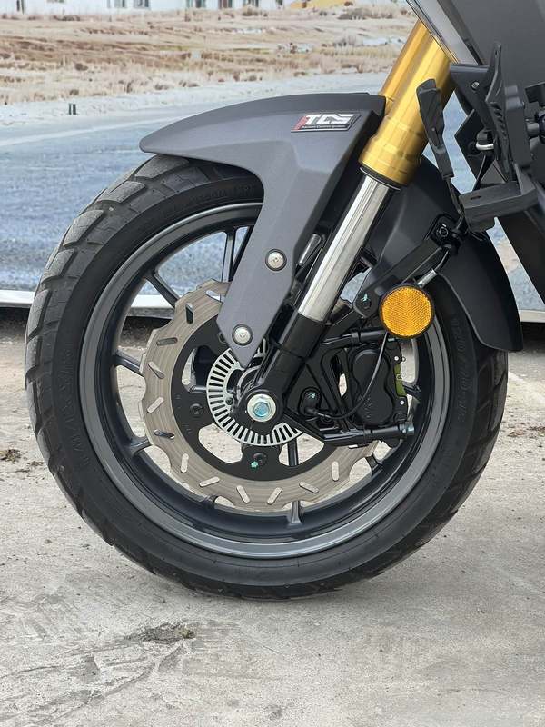 二手三阳剑齿虎 ADXTG