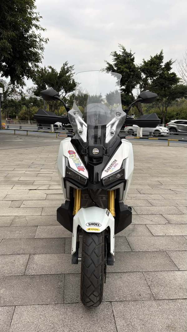 二手三阳剑齿虎 ADXTG