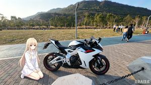 二手升仕703RR