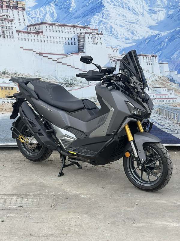 二手三阳剑齿虎 ADXTG