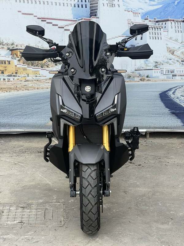 二手三阳剑齿虎 ADXTG