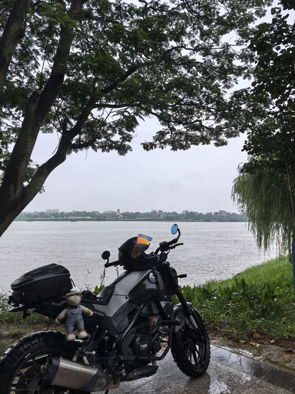 二手贝纳利幼狮 Leoncino 250