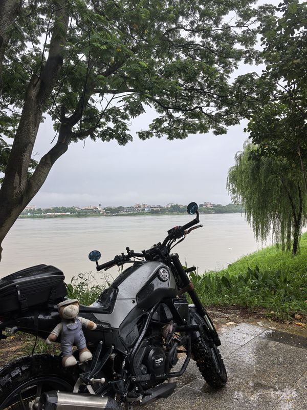 二手贝纳利幼狮 Leoncino 250