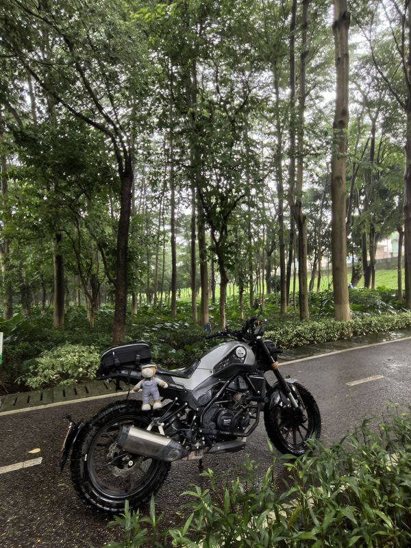 二手贝纳利幼狮 Leoncino 250