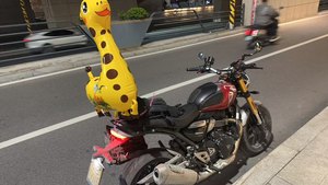 二手凯旋Speed 400