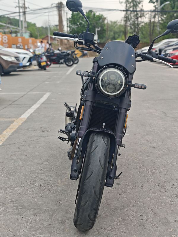 二手贝纳利幼狮 Leoncino 500