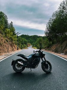 二手贝纳利幼狮 Leoncino 250