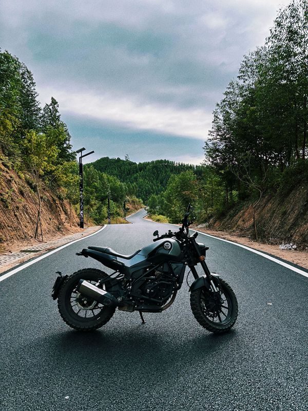 二手贝纳利幼狮 Leoncino 250