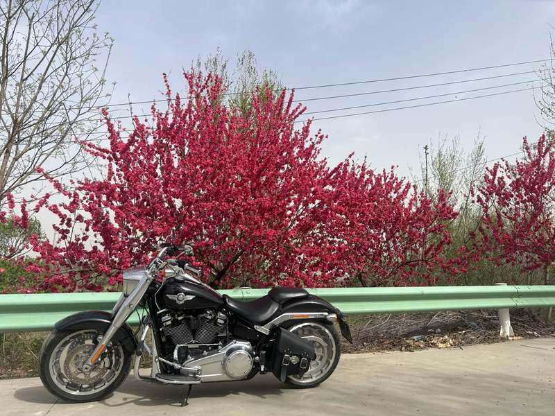 二手哈雷戴维森肥仔 Fat Boy