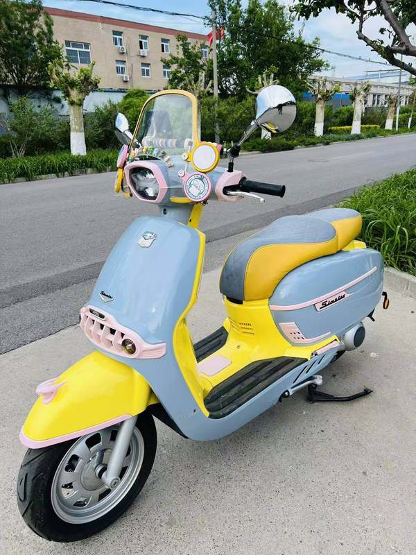 二手维多利亚Sixties 300i