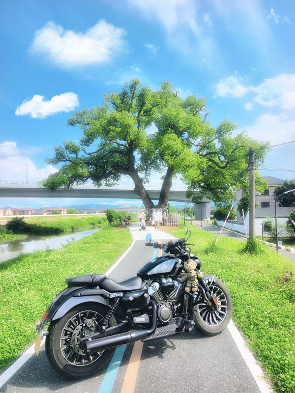 二手奔达灰石250