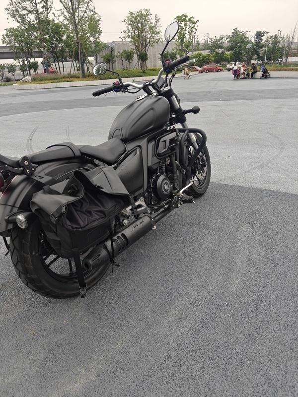 二手赛科龙RA401