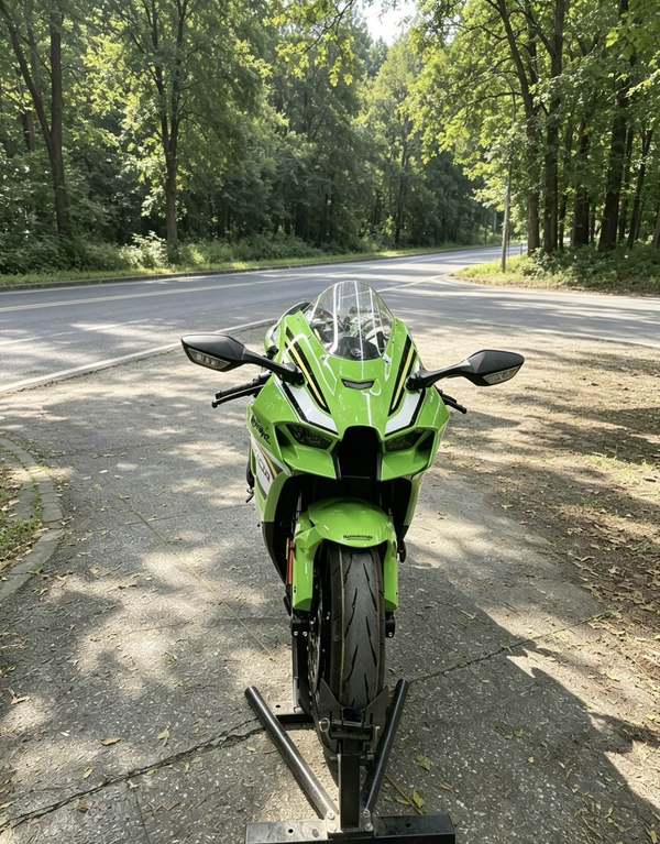 二手川崎Ninja ZX-10R