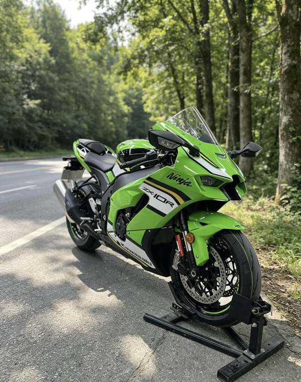 二手川崎Ninja ZX-10R