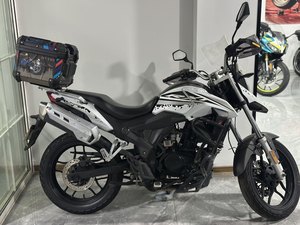 二手赛科龙RX1