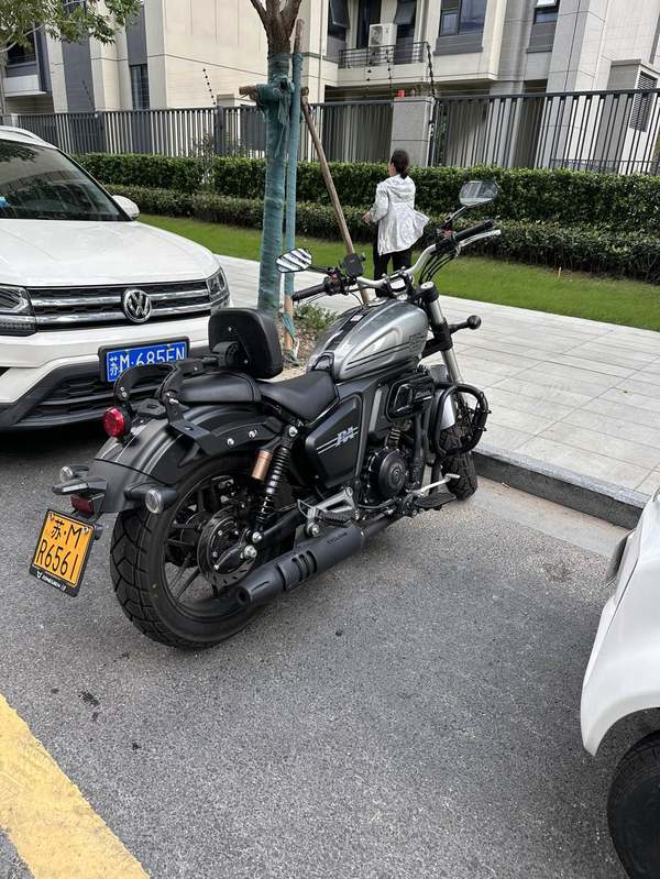 二手赛科龙RA401