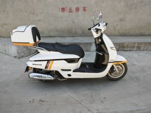 二手南方梦拉丽莎 飞戈