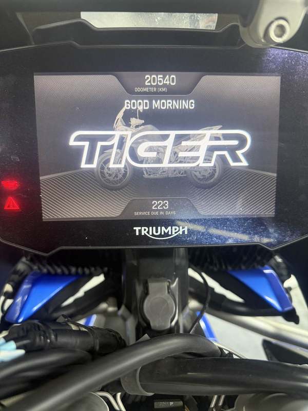二手凯旋Tiger 900
