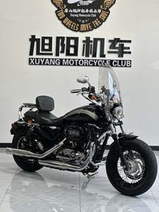 二手哈雷戴维森1200 Custom