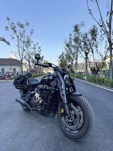 二手赛科龙RA600