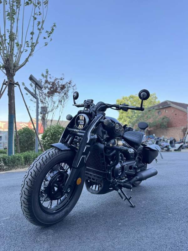 二手赛科龙RA600
