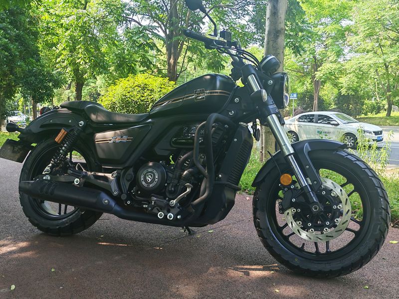 二手赛科龙RA401