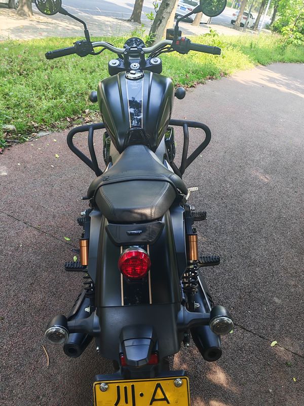 二手赛科龙RA401