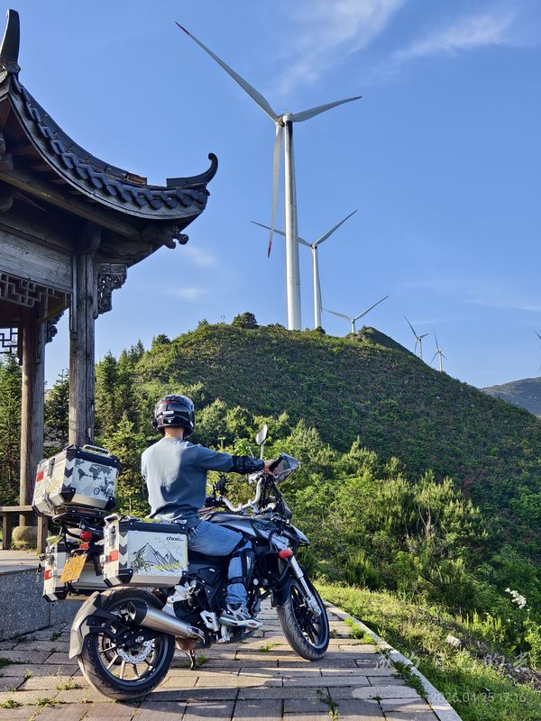 二手贝纳利金鹏 TRK251