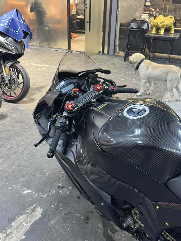 二手川崎Ninja ZX-10R(海外)